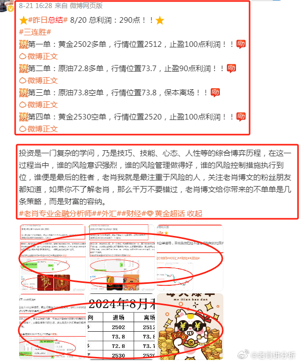 2046年，管家婆的马资料—未来赛场上的智慧之选2020年第24期管家婆图