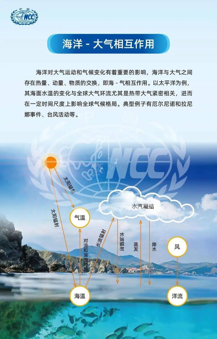 探索246免费资料大全的天下，知识的海洋与智慧的灯塔246免费资料大全天下小说