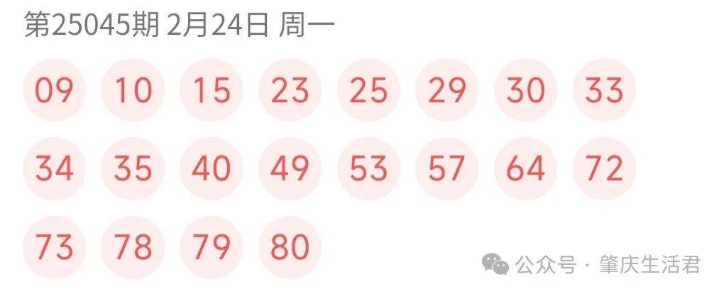 澳门六开奖结果2046，揭秘未来彩票趋势与历史回顾新澳门今晚开奖号码查询