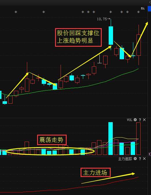 今晚香港开特马的神秘与期待，六期揭秘背后的文化与社会现象解析2024今晚香港开特马开什么六期澳门传真