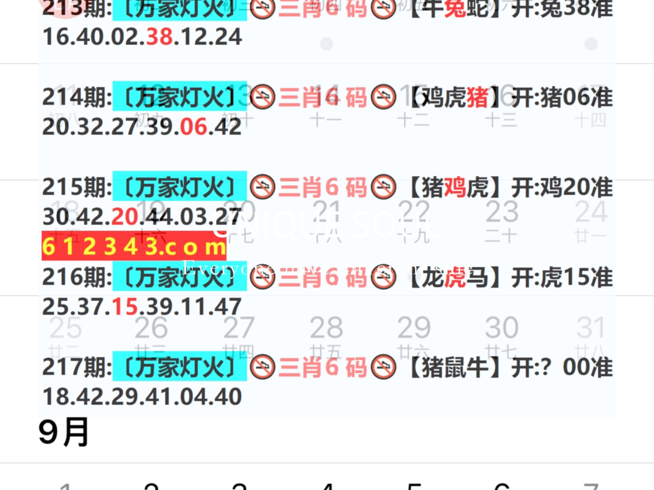 2036年澳门特马今晚开码，一场数字与幸运的盛宴2023年澳门特马今晚开码149期图片