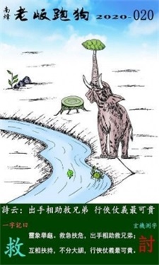 探索新跑狗，高清彩图下的速度与激情新跑狗高清跑狗图彩图大全