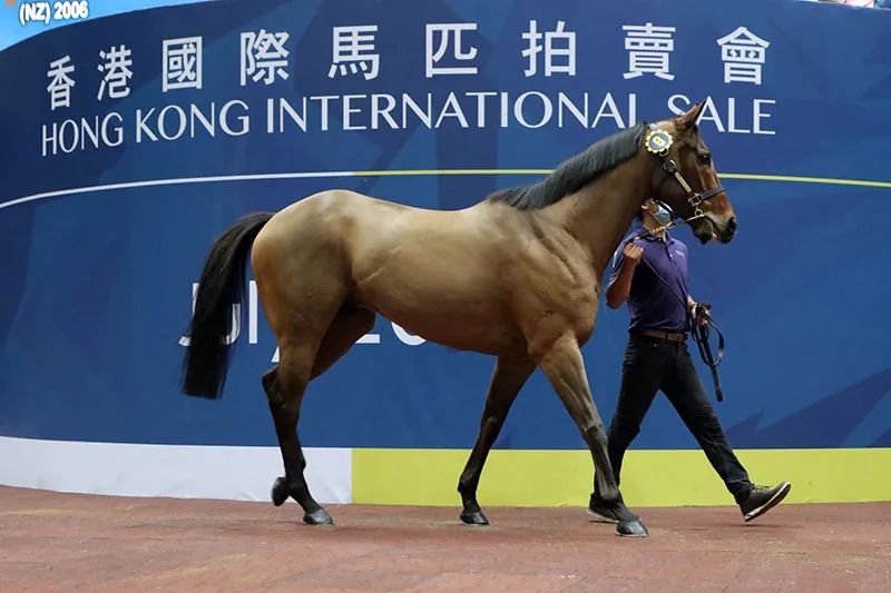 六六大顺彩票（Lotaria）和肖像画赛马会(Jockey Club)新澳门最快开奖结果开奖记录