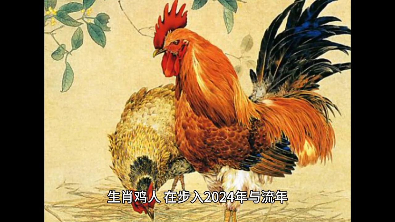 探索香港六合走势，深度解析与图表集锦香港6合走势分析图表图片大全集最新版