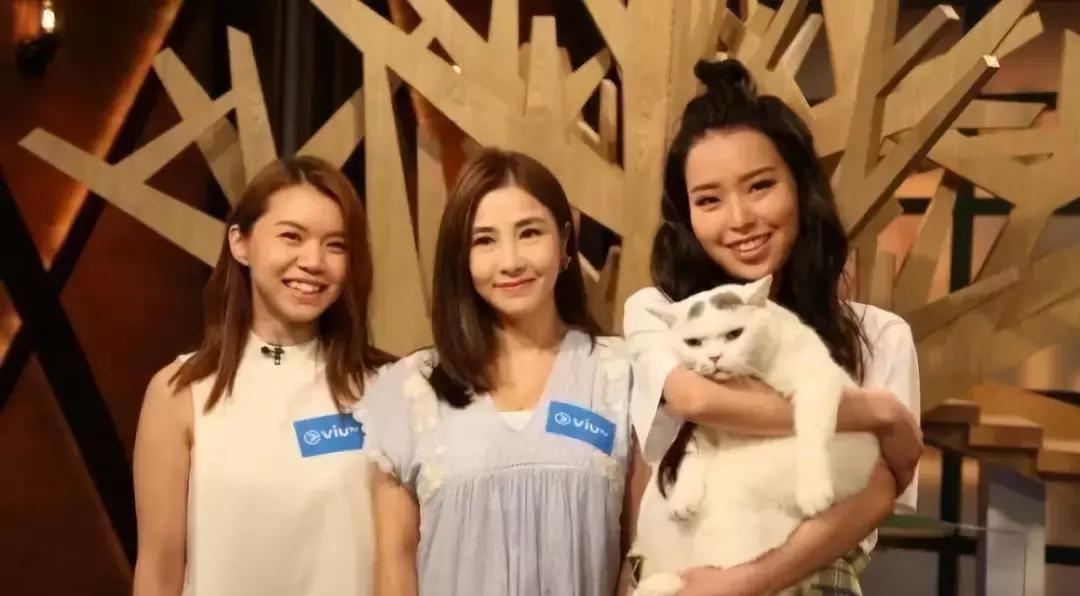 预测香港6合和彩号码，理性与技巧的平衡香港6合和彩什么时候开